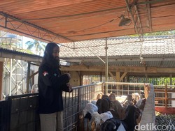 Keseharian Pedagang Kambing Kota Batu yang Kaget Dianggap Mirip Yesus