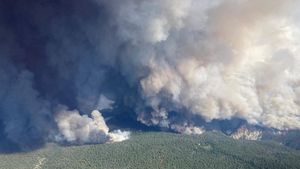 Penampakan Kebakaran Hutan Kanada yang Picu Kabut Asap di AS