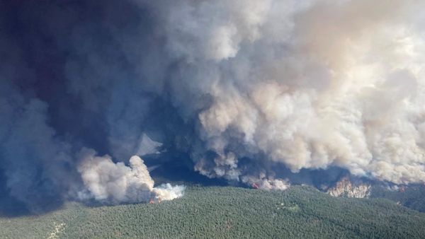 Penampakan Kebakaran Hutan Kanada yang Picu Kabut Asap di AS