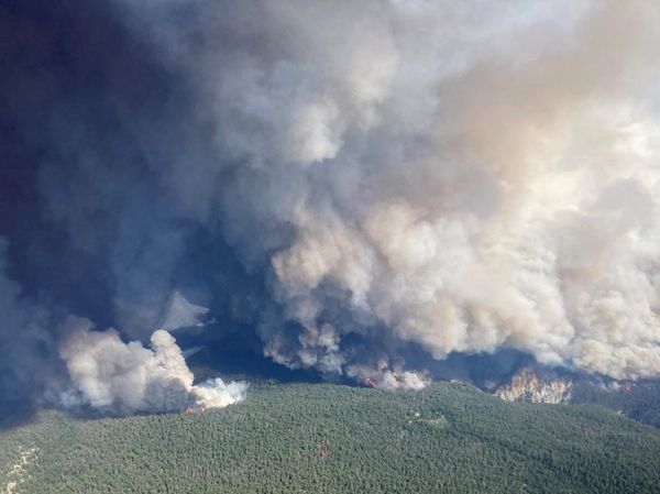 Penampakan Kebakaran Hutan Kanada yang Picu Kabut Asap di AS