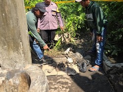 Lagi Kuras Sumur, Warga Nganjuk Temukan Tengkorak dan Kerangka