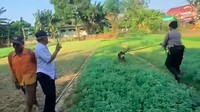 Video: Anjing Husky di Bekasi Ini Dibacok OTK hingga Bersimbah Darah