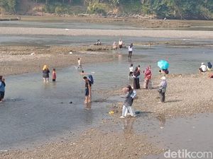 Sungai Serayu Banyumas Surut gegara Kemarau Jadi Wisata Dadakan