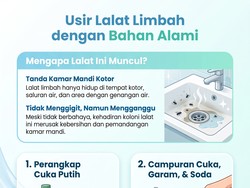 Kemunculan Lalat Limbah Bisa Jadi Tanda Kamar Mandi Kotor, Ini Cara Basminya