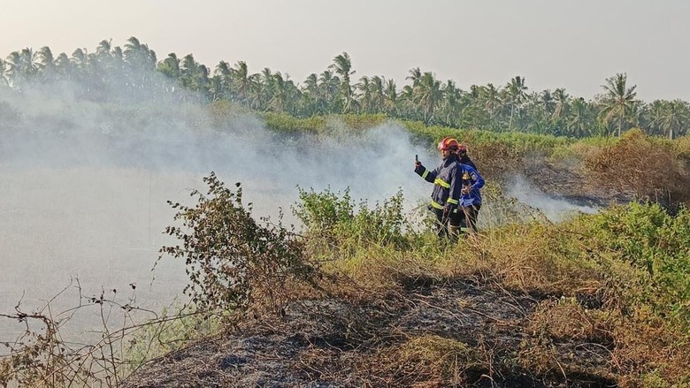 BMKG Catat 115 Hotspot di Lampung, Waspada Potensi Karhutla