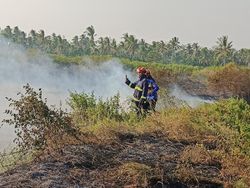 BMKG Catat 115 Hotspot di Lampung, Waspada Potensi Karhutla