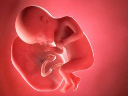Geger Penyelundupan Plasenta Bayi untuk Bahan Baku Obat Awet Muda
