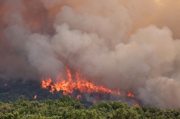Kebakaran Hutan Meluas di Prancis saat Gelombang Panas dan Kekeringan Memburuk
