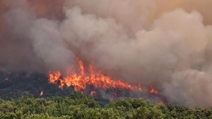 Kebakaran Hutan Meluas di Prancis saat Gelombang Panas dan Kekeringan Memburuk