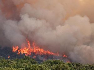 Kebakaran Hutan Meluas di Prancis saat Gelombang Panas dan Kekeringan Memburuk
