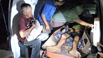 Pria di Siak Luka-luka Usai Diterkam Harimau saat Hendak Buang Air Besar