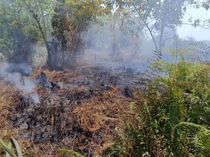 10 Hektare Lahan di Aceh Barat Terbakar, Pemadaman Terkendala Sumber Air