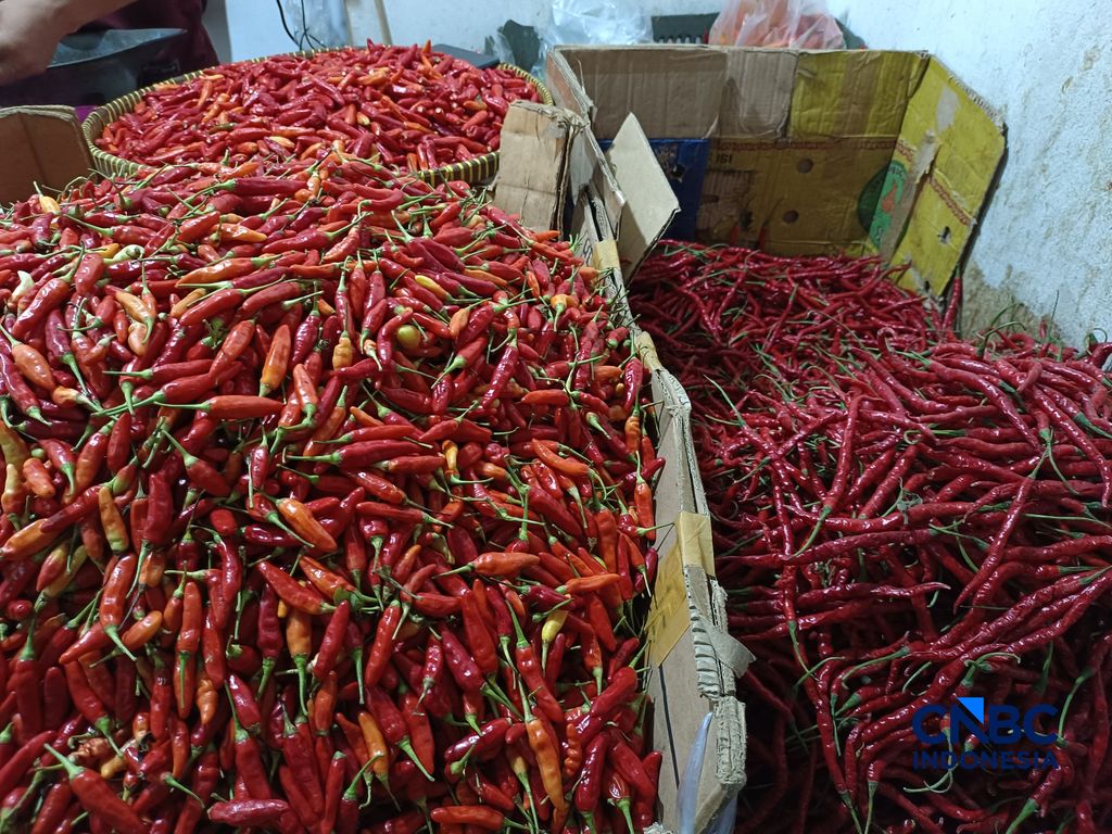 Pantauan nilai pangan di Pasar Rumput, Jakarta Selatan, Selasa (21/7/2026). (CNBC Indonesia/Martyasari Rizky)