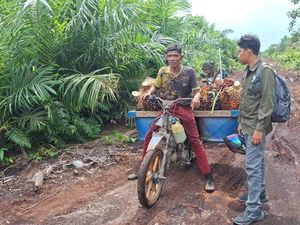 Harimau Nyaris Terkam Pelangsir Sawit di Siak, Selamat Setelah Tancap Gas Motor