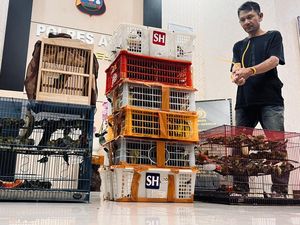 BKSDA-Polres Agam Tangkap Pria Hendak Jual 225 Ekor Burung ke Lampung