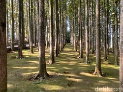 Transformasi Desa Pancawati Menjadi Desa Wisata Unggulan di Kawasan Bogor