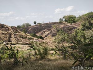 Bukit Teletubbies Tembalang Semarang Terbakar, Begini Kondisinya