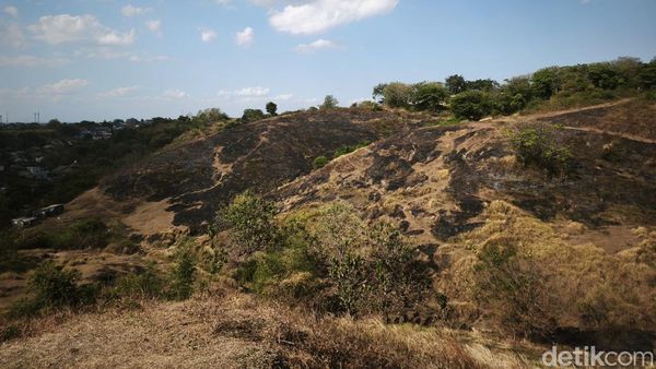 Potret Menyedihkan Bukit Teletubbies Semarang Usai Terbakar