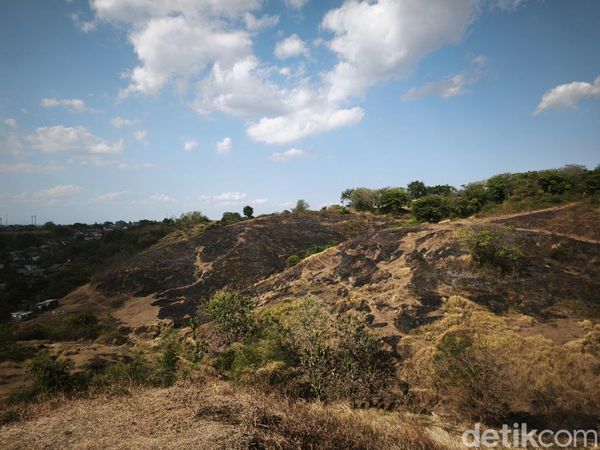 Potret Menyedihkan Bukit Teletubbies Semarang Usai Terbakar