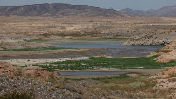 Waduk Terbesar di AS Terus Menyusut Dilanda Kekeringan