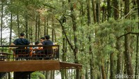 Spot Healing dan Wisata Kuliner di Bogor yang Tak Melulu Puncak