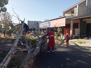 Pohon Tumbang Timpa 3 Pemotor di Karanganyar