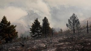 Hutan Spanyol Jadi Gundul Dilalap Kebakaran Terbesar