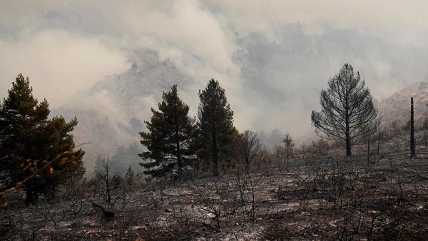 Hutan Spanyol Jadi Gundul Dilalap Kebakaran Terbesar
