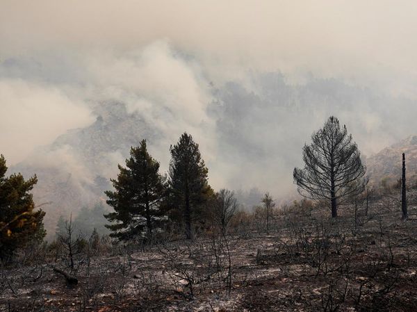Hutan Spanyol Jadi Gundul Dilalap Kebakaran Terbesar