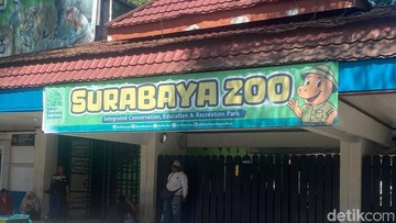 Eks Dirut Korupsi Uang Pakan Rp 10,2 Miliar, Bagaimana Nasib Satwa KBS?
