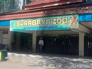 Kata KBS Usai Eks Dirut Jadi Tersangka Korupsi Pakan Satwa Rp 10,2 M