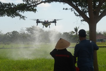 Petani Boyolali Andalkan Drone Lawan Hama Wereng