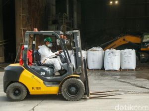 Ratusan Ton Bahan Baku Pakan Ternak Mengandung Porcine Dimusnahkan