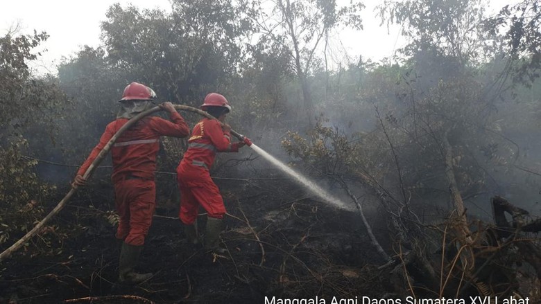 Tim Manggala Agni Padamkan 3 Hektare Lahan Terbakar di PALI