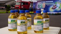 Usai B50, Pemerintah Kejar Target Mulai Program B60 Tahun Depan