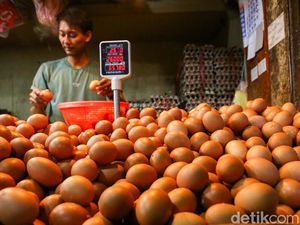 Harga Daging & Telur Ayam Naik, Cabai Rawit Turun