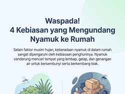 Bukan Cuma Saat Musim Hujan, Nyamuk Bisa Muncul di Rumah gegara Kebiasaan Ini