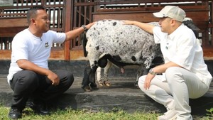 Lihat Pembinaan Napi Lapas Karawang, Irfan Hakim Teteskan Air Mata