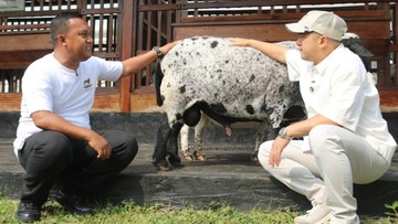 Lihat Pembinaan Napi Lapas Karawang, Irfan Hakim Teteskan Air Mata