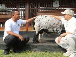 Lihat Pembinaan Napi Lapas Karawang, Irfan Hakim Teteskan Air Mata