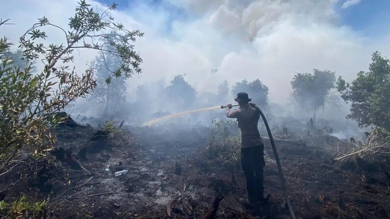 Perjuangan Lawan Karhutla Tumbang Nusa Tak Sekadar Padamkan Api dan Bara
