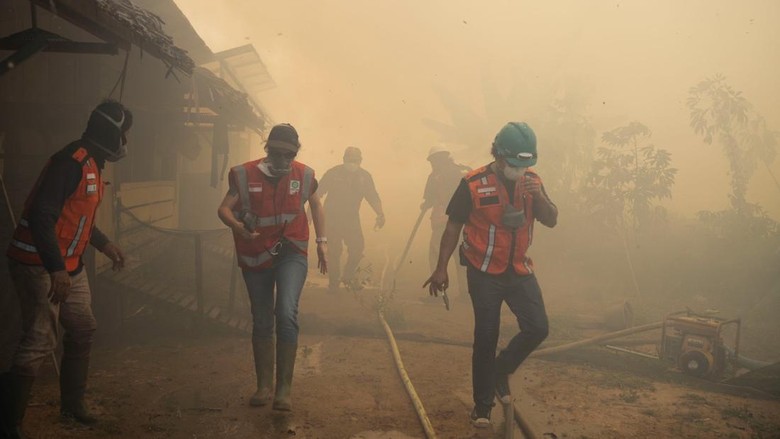 Karhutla Dekati Pusat Rehabilitasi Orangutan di Ketapang