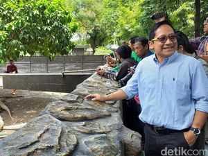 Terbongkarnya Korupsi Pangan Satwa Rp10,2 M yang Seret Eks Dirut KBS