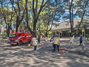 Kawanan Tawon Vespa Bikin 2 Sarang di Keraton Solo, Sempat Sengat Pekerja