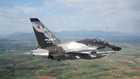 Menilik Spek Jet Tempur Leonardo yang Dibeli Indonesia