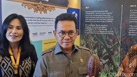 Mendag Bidik Pasar Eropa Lewat IEU-CEPA, Ekspor Kakao RI Ditarget Makin Ngebut