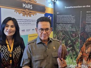 Mendag Bidik Pasar Eropa Lewat IEU-CEPA, Ekspor Kakao RI Ditarget Makin Ngebut