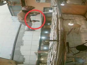 Keder Rampok Amatir Modal Pistol Mainan Berakhir Dibekuk Polisi