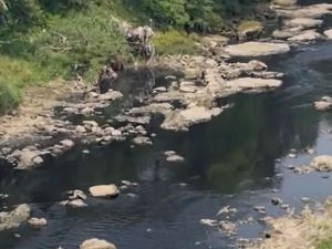 Air Sungai Cileungsi Menghitam Diduga Tercemar, Pemkab Bogor Turun Tangan