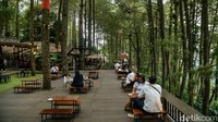 Bosan ke Puncak? Coba Healing di Daong Hutan Pinus Desa Pancawati